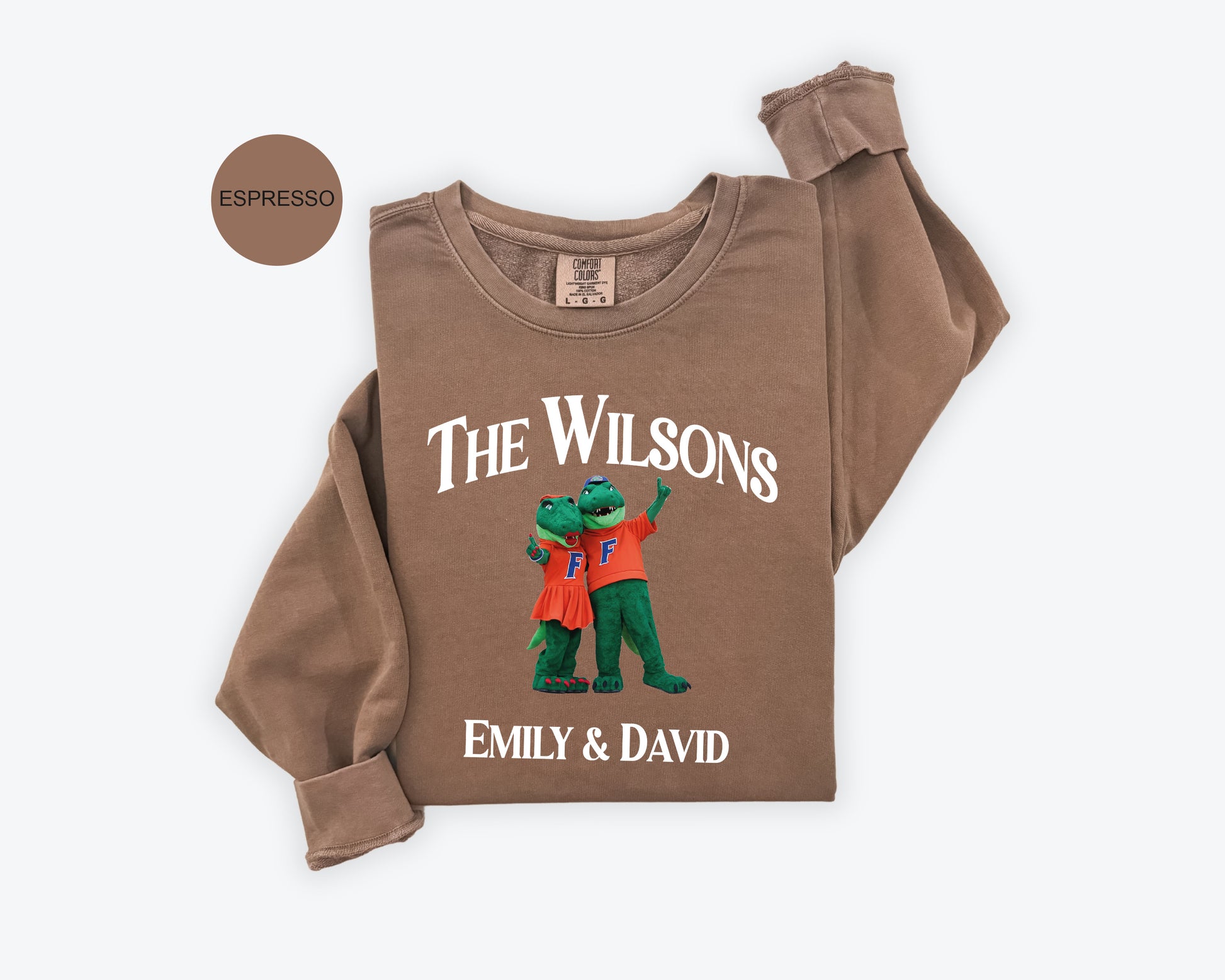 a brown shirt with an image of a dinosaur on it