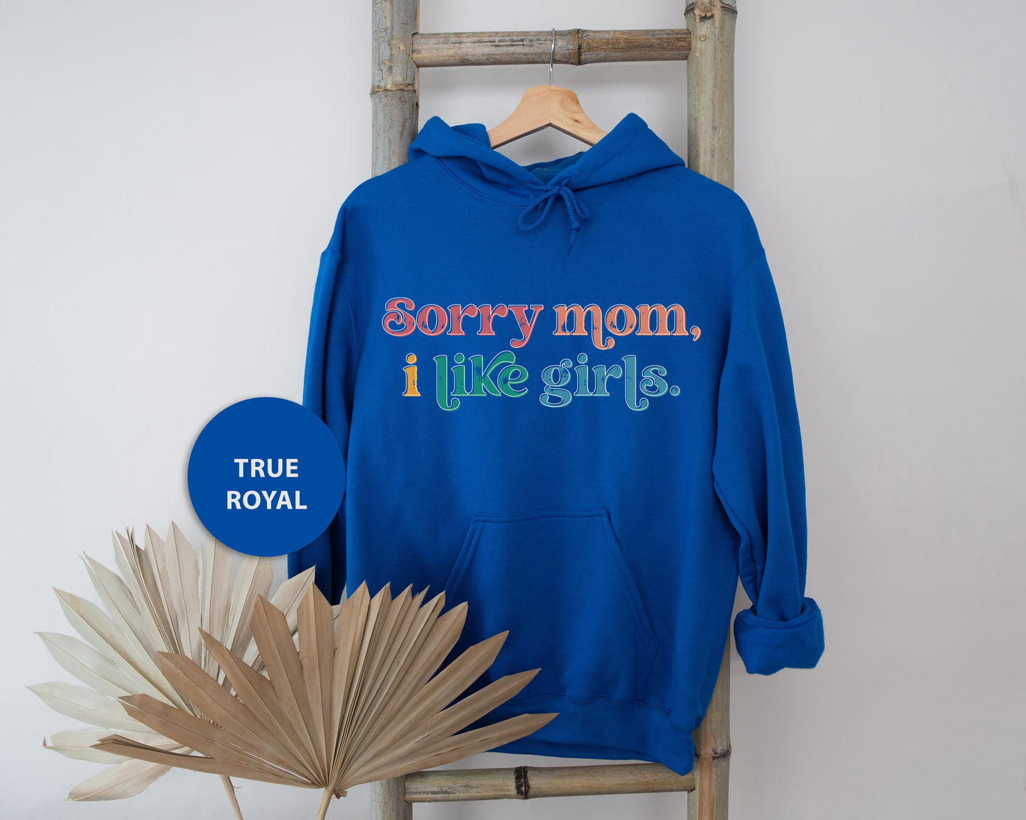 a blue hoodie that says sorry mom, i like girls