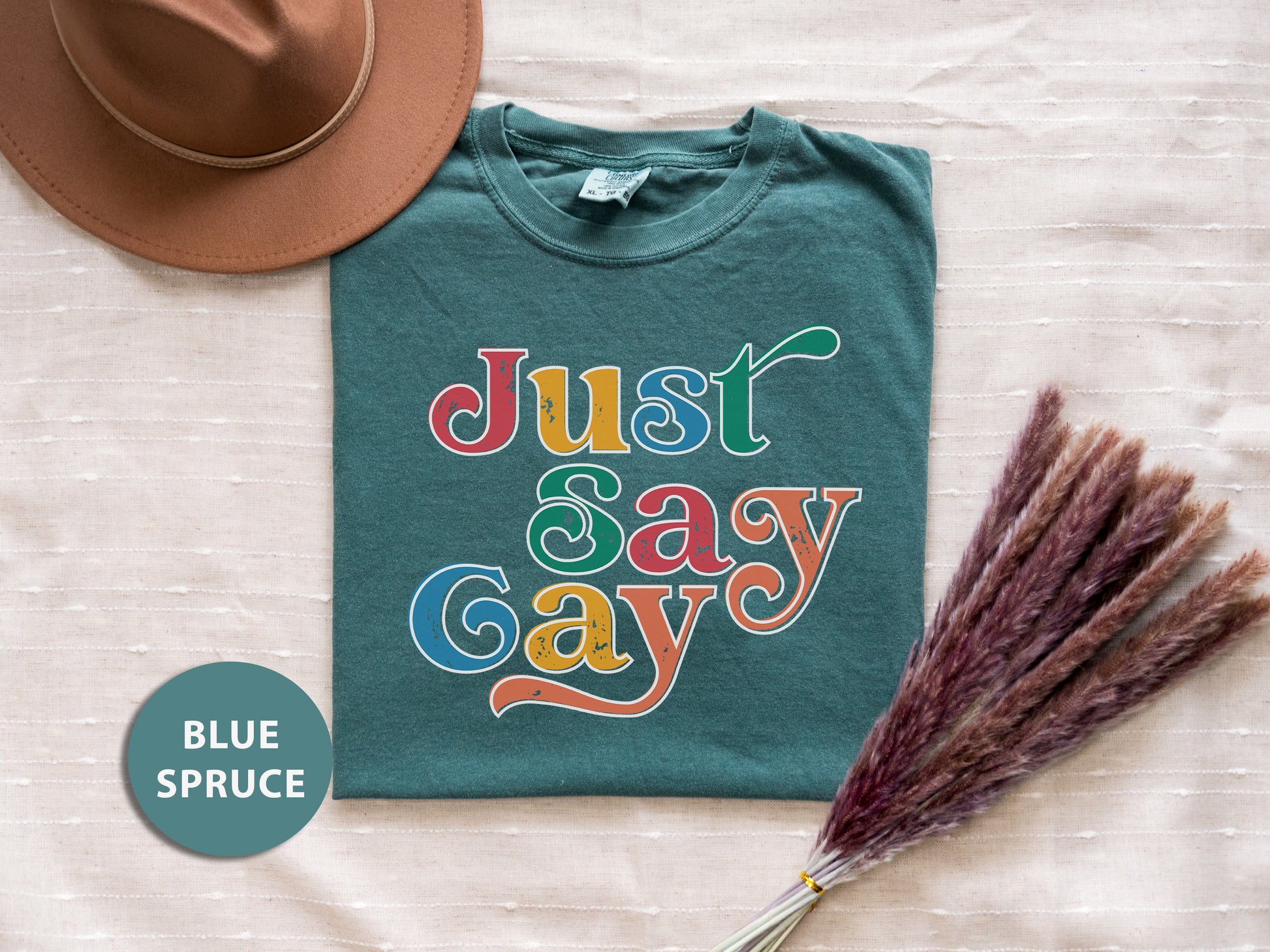 a t - shirt with the words just sasy gay on it next to a