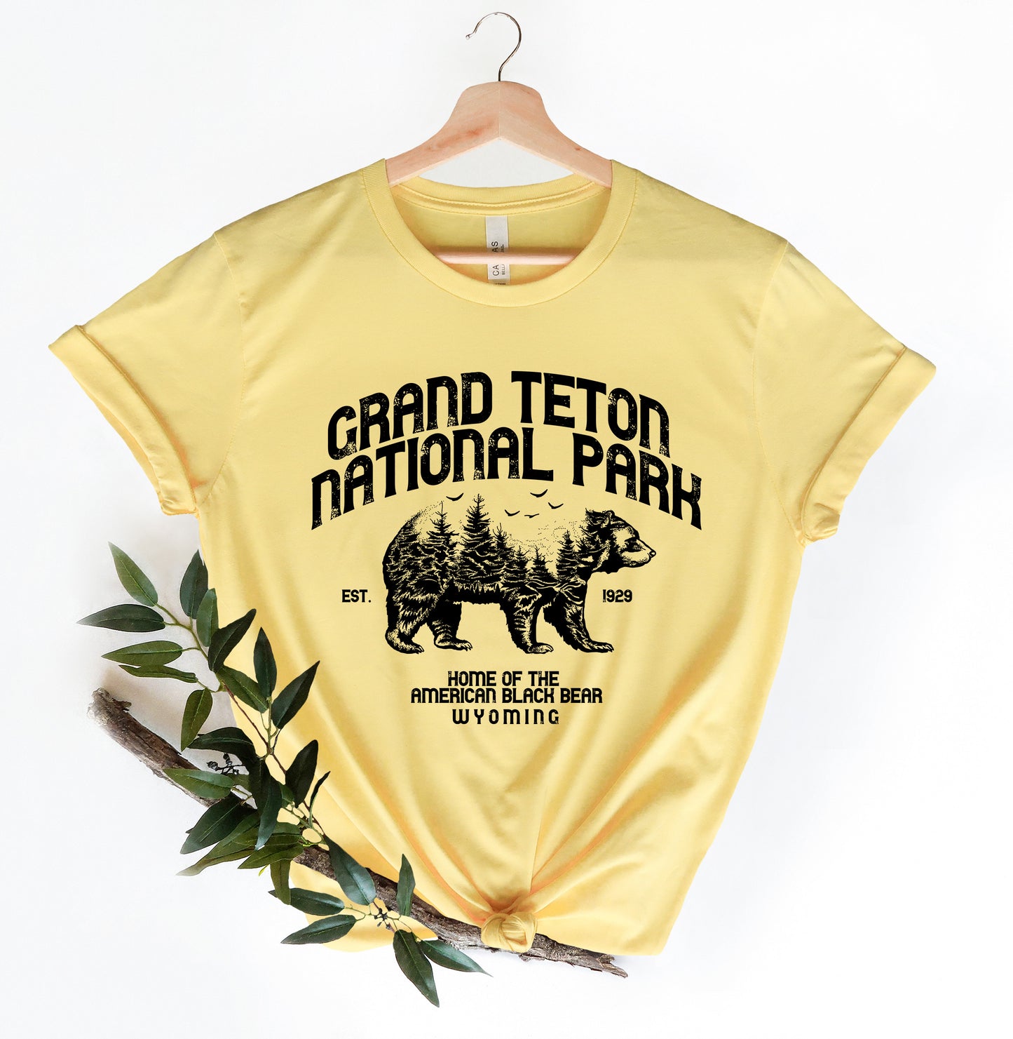 Grand Teton National Park T-Shirt, National Park Shirt, Camping Shirt, Mountains Shirt, Nature Camp Lover T-shirt, Hiking Shirt