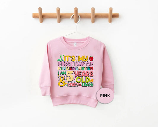 a pink sweatshirt hanging on a clothes line