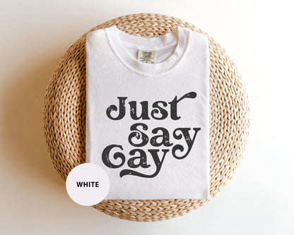 a t - shirt that says just say gay on it