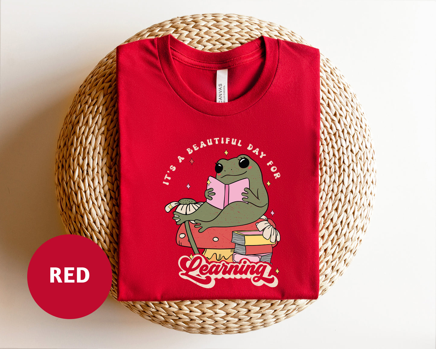 a red t - shirt with a picture of a dinosaur reading a book