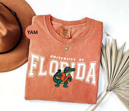 a t - shirt that says university of florida next to a hat